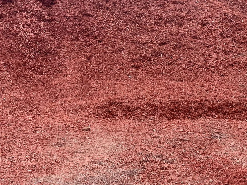 Custom residential landscaping for outdoor upgrades across Myrtle Beach, SC - USA Landscaping