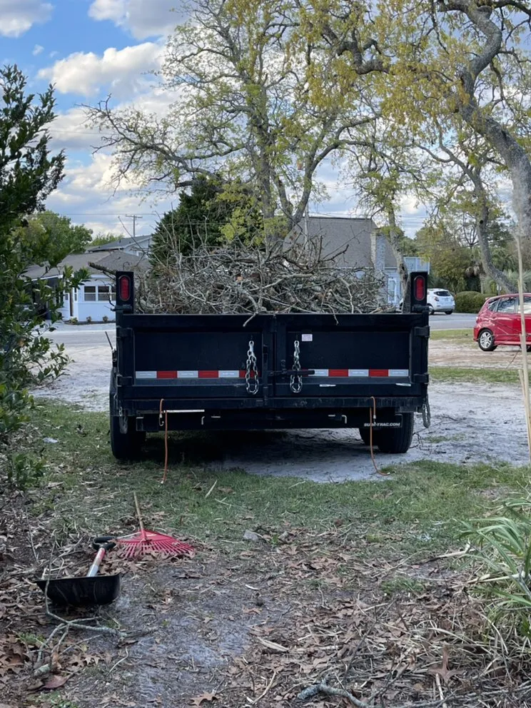 Trusted yard cleanup service near you in Myrtle Beach, SC by USA Landscaping