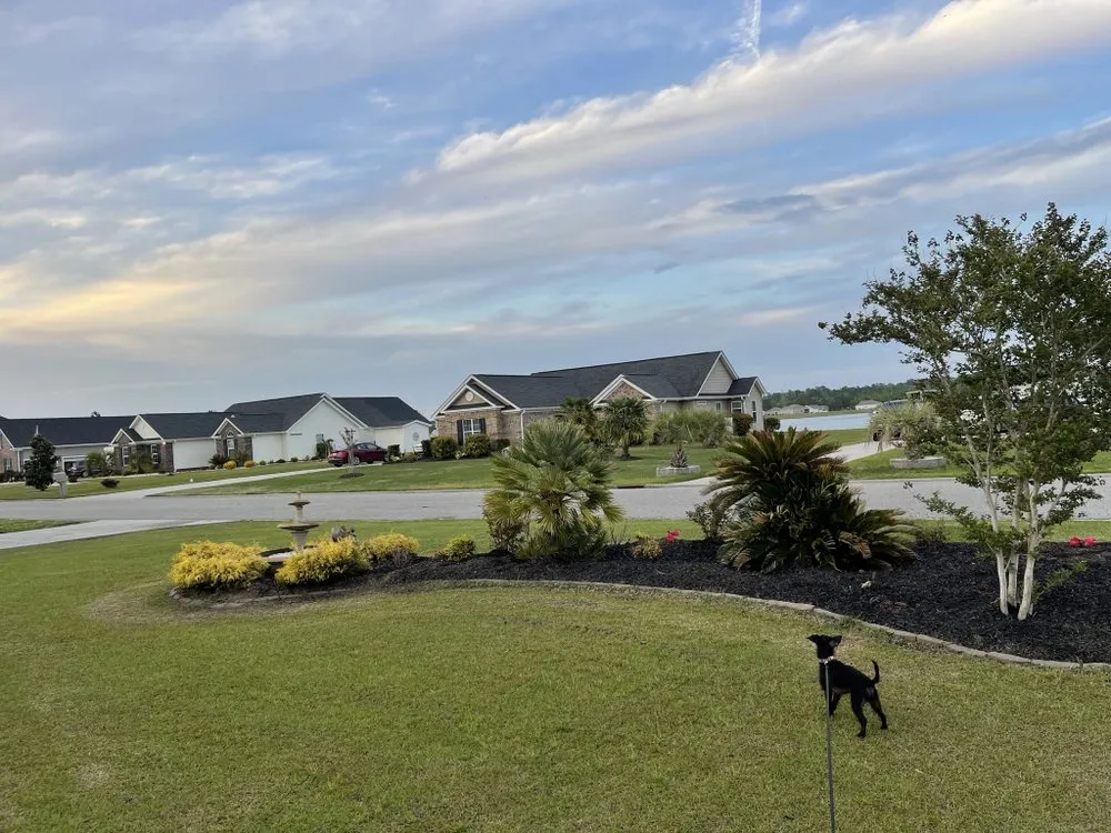 Expert landscaping services for beautiful yards across Myrtle Beach, SC - USA Landscaping