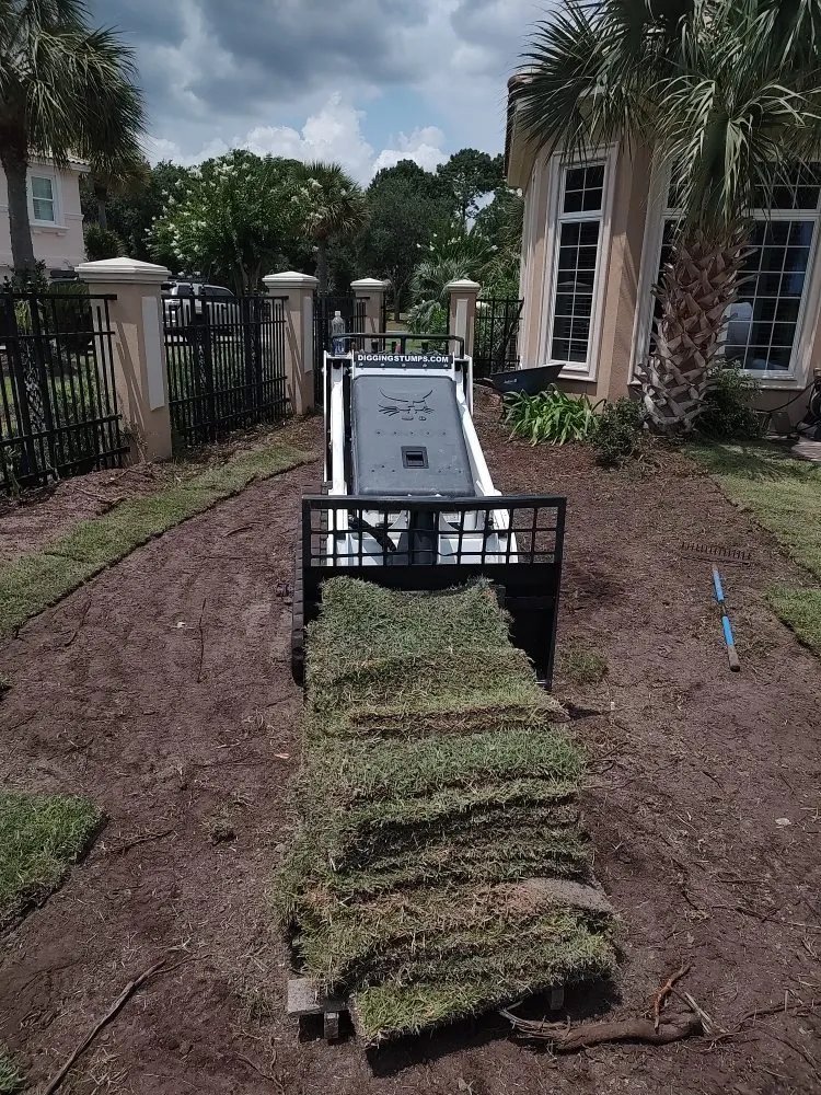 Reliable yard cleanup service experts serving Myrtle Beach, SC - USA Landscaping