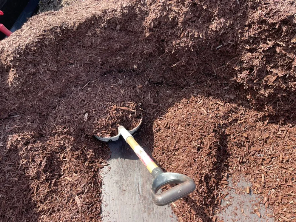 Top-rated landscaping services in Myrtle Beach, SC - USA Landscaping