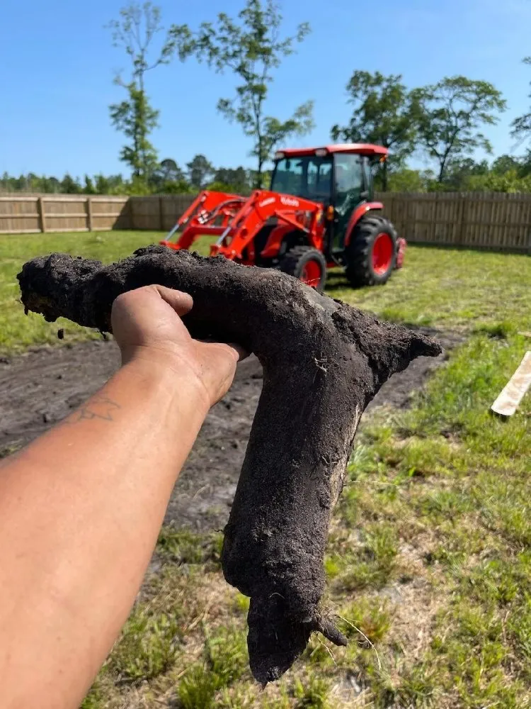 Professional residential landscaping in Myrtle Beach, SC by USA Landscaping