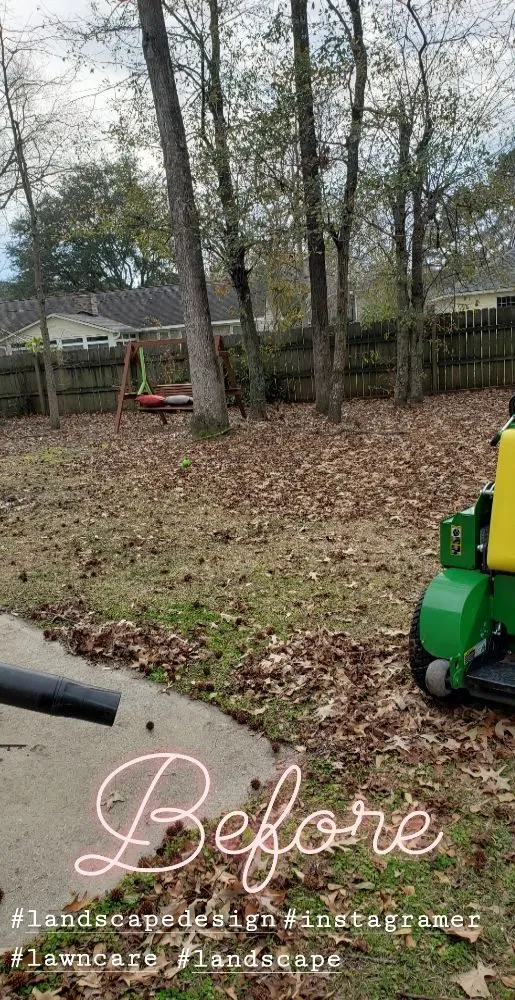 Local lawn care service in Goose Creek, SC - USA Services