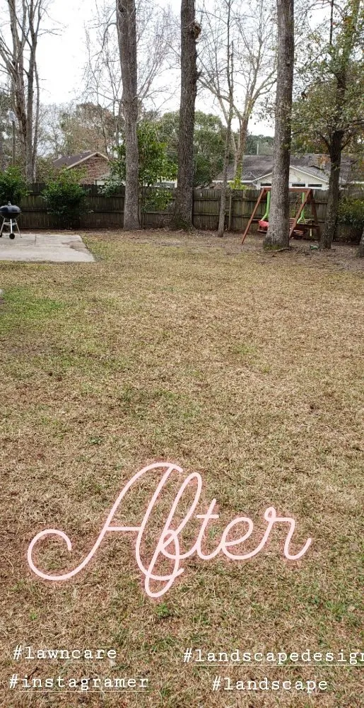 Professional outdoor landscaping with custom design in Goose Creek, SC by USA Services