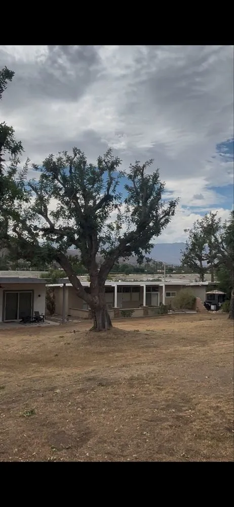 Local lawn mowing service in Banning, CA by USA tree care pros