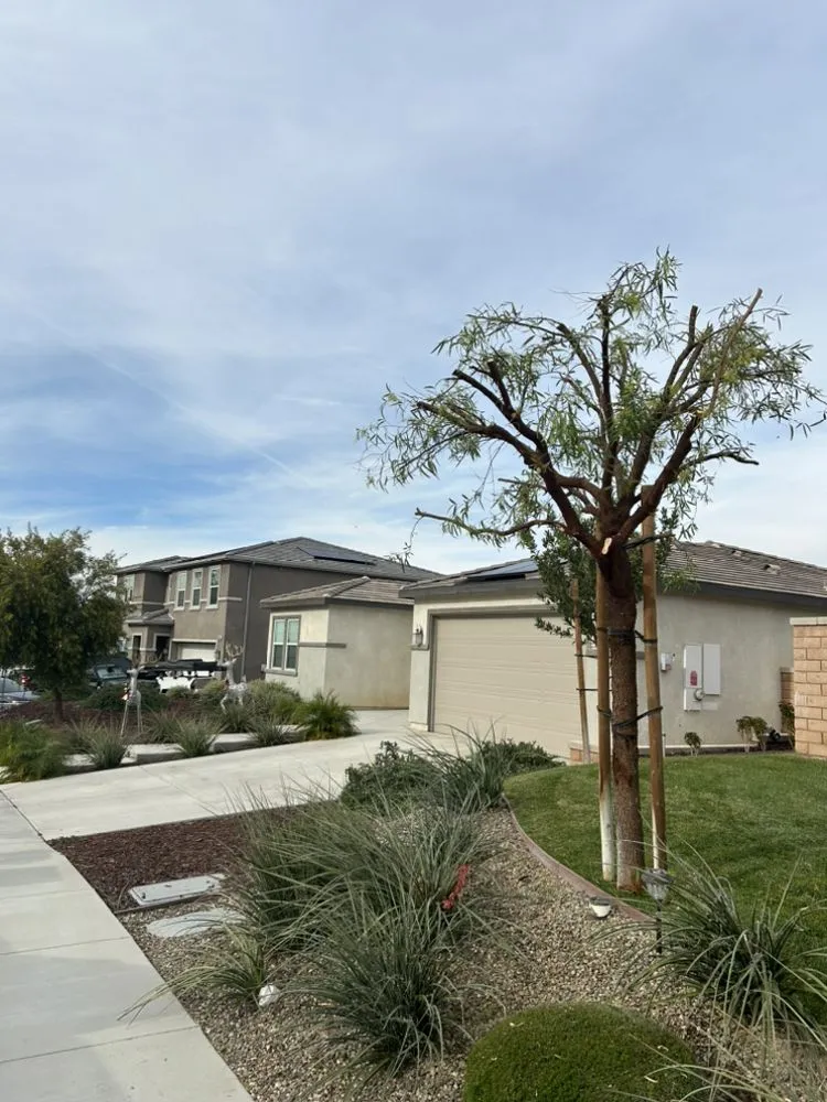 Expert residential landscaping in Banning, CA by USA tree care pros