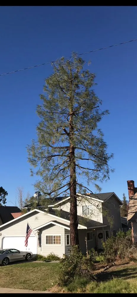 Custom outdoor landscaping in Banning, CA by USA tree care pros