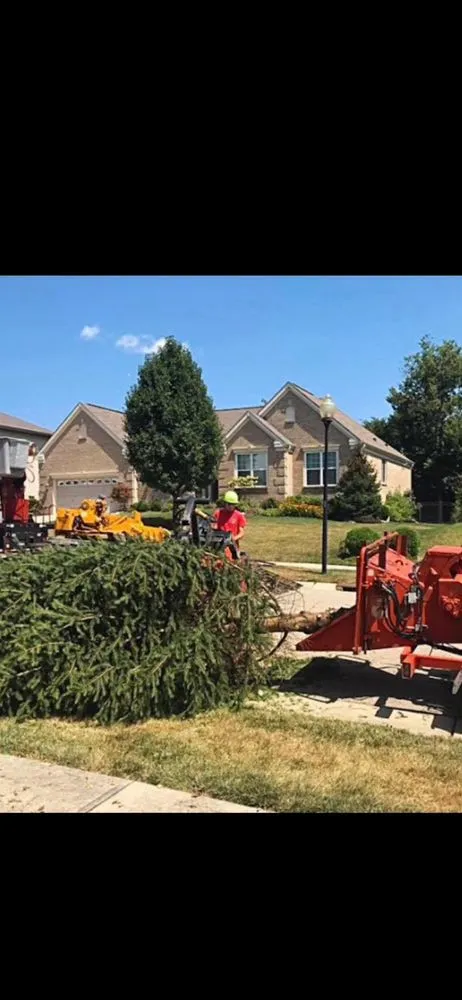 Reliable lawn care service with custom design in Banning, CA by USA tree care pros