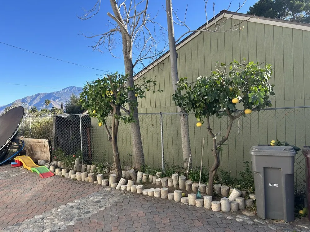 Trusted landscape installation for homes across Banning, CA - USA tree care pros