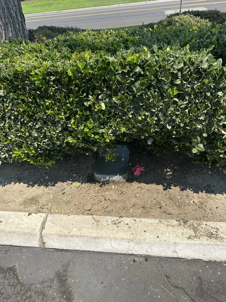 Trusted landscape design experts serving Banning, CA - USA tree care pros