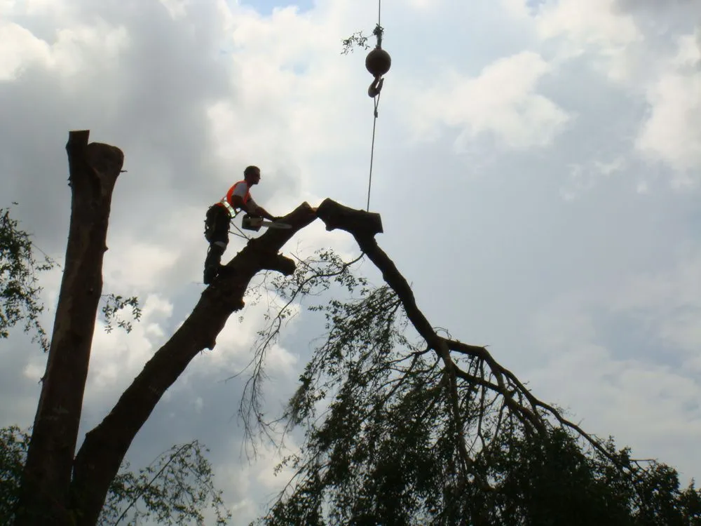 Local garden landscaping for outdoor upgrades in Weeki Wachee, FL by USA Tree Service