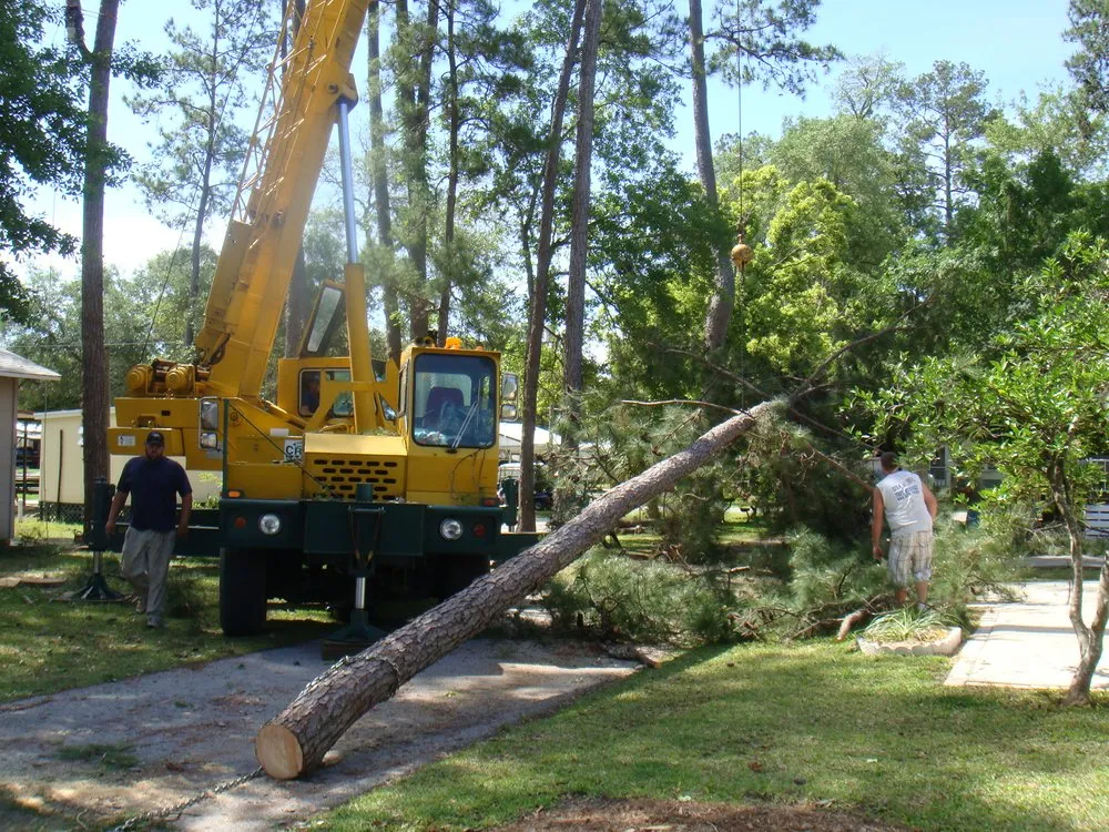 Top-rated lawn care service experts serving Weeki Wachee, FL - USA Tree Service