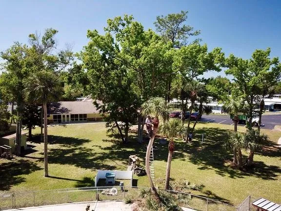 Trusted garden landscaping experts serving Weeki Wachee, FL - USA Tree Service