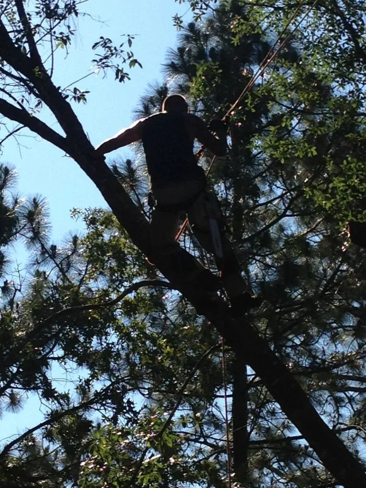 Local landscaping services for outdoor upgrades across Weeki Wachee, FL - USA Tree Service