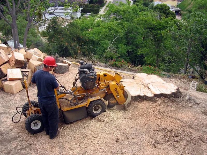 Affordable landscape design for beautiful yards in Weeki Wachee, FL by USA Tree Service