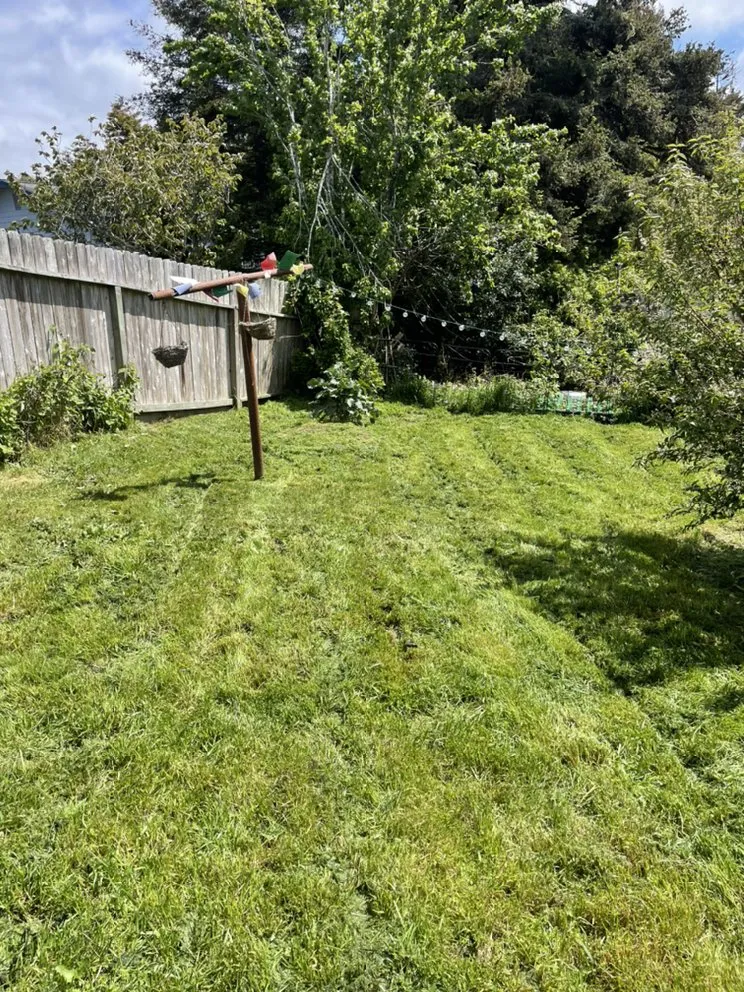 Trusted landscaping services experts serving Eureka, CA - Usnea Landscapes and Permaculture design
