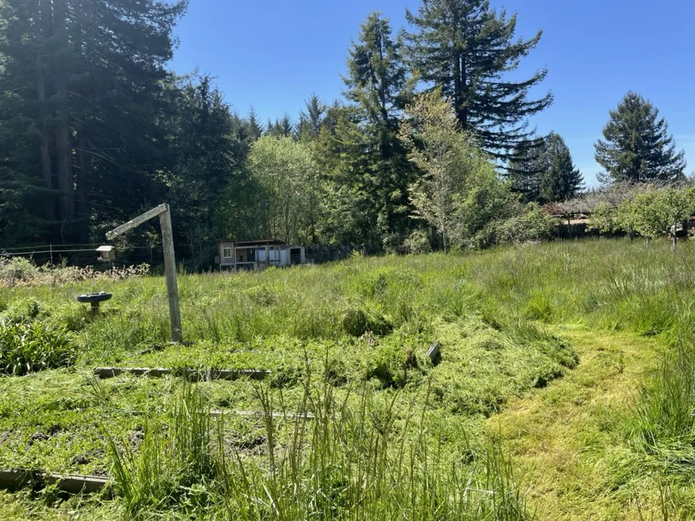 Trusted lawn mowing service with custom design in Eureka, CA by Usnea Landscapes and Permaculture design