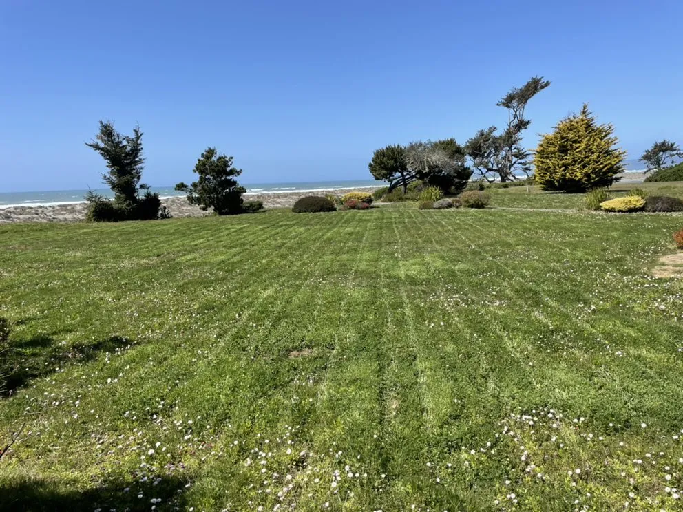 Top-rated yard maintenance in Eureka, CA by Usnea Landscapes and Permaculture design