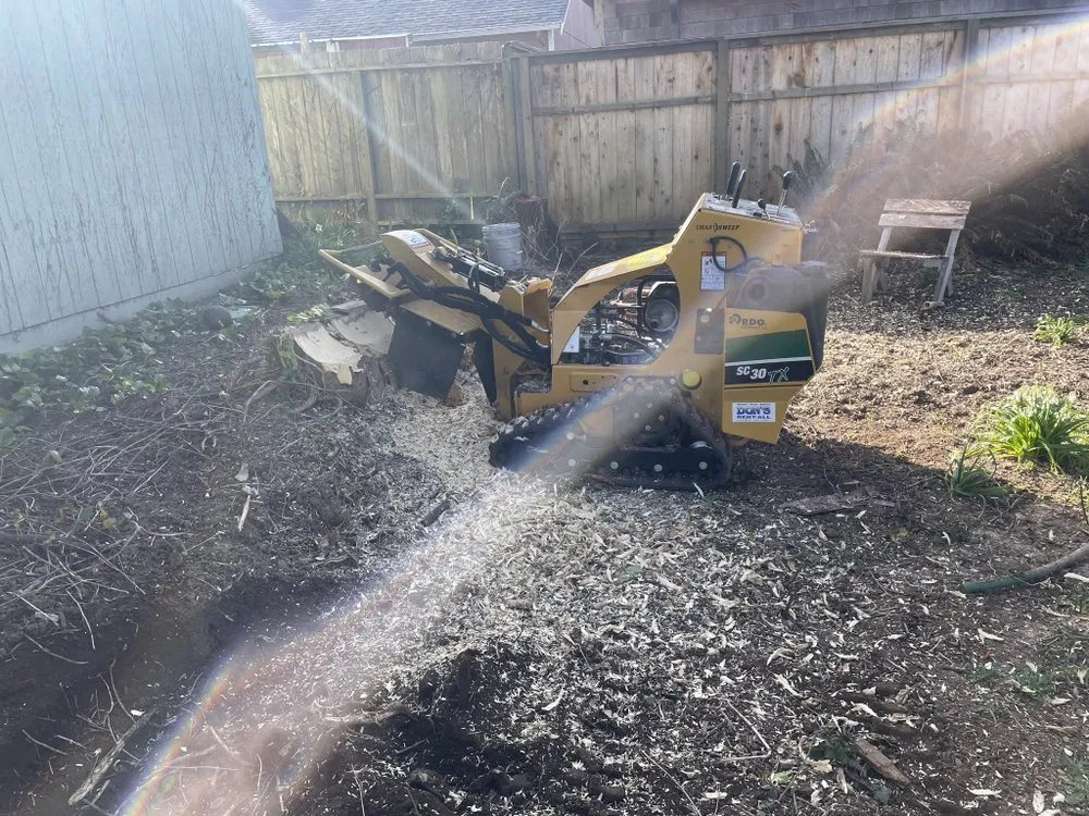 Professional lawn mowing service in Eureka, CA by Usnea Landscapes and Permaculture design