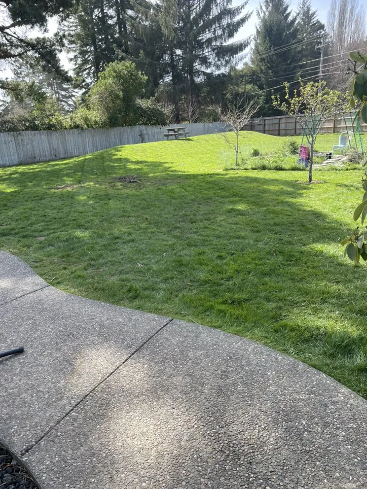 Professional landscape design in Eureka, CA by Usnea Landscapes and Permaculture design