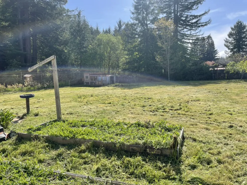 Trusted landscaping services for beautiful yards across Eureka, CA - Usnea Landscapes and Permaculture design