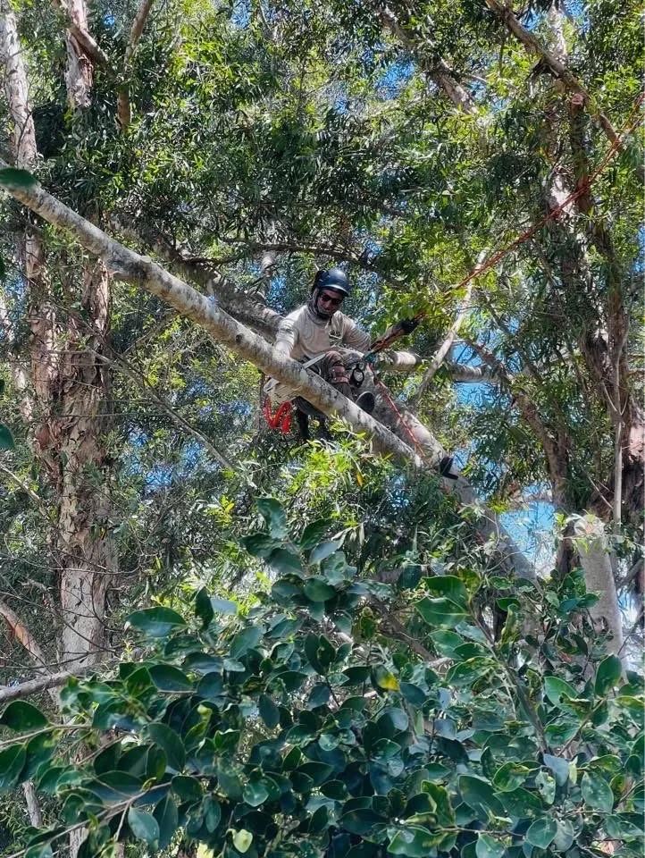 Reliable garden landscaping for homes across Davie, FL - USS Lawn Care Services