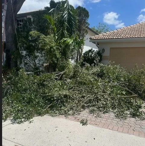 Professional landscape design in Davie, FL - USS Lawn Care Services