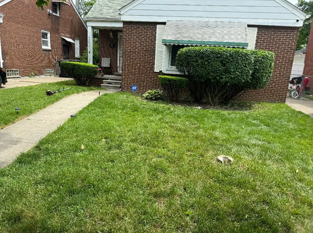 Expert yard cleanup service experts serving Detroit, MI - Ussery Landscaping