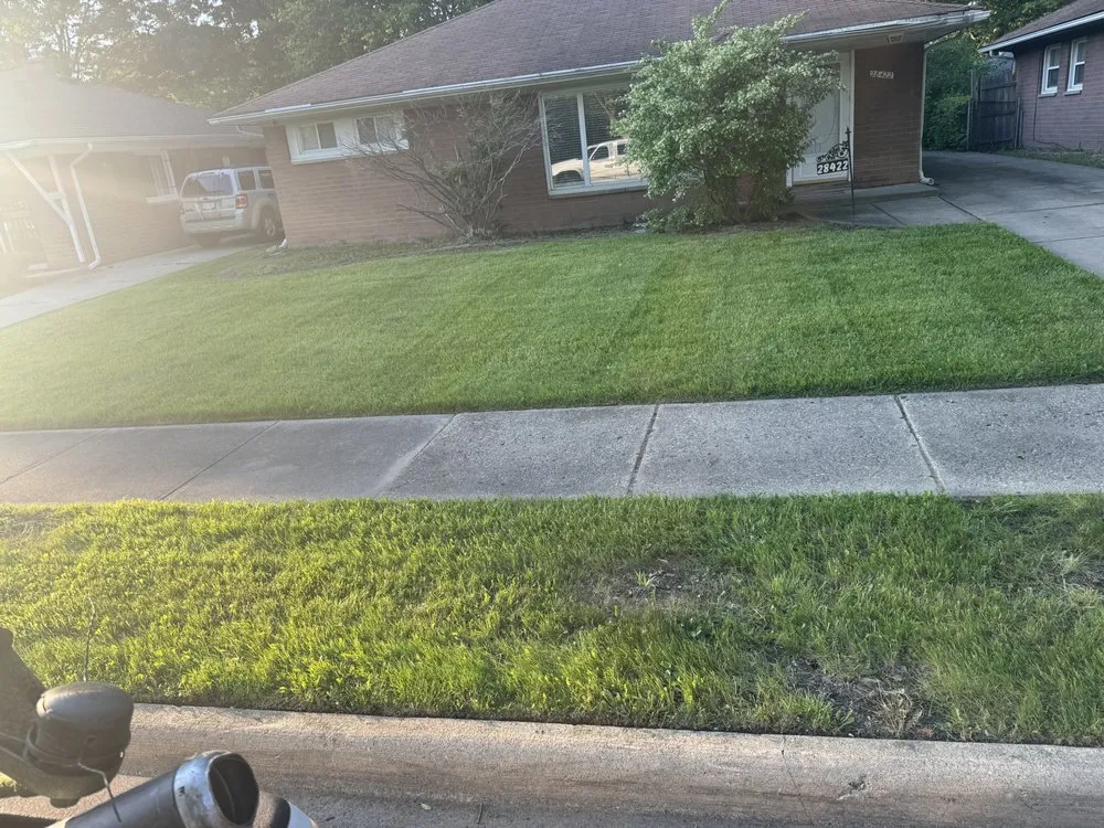 Affordable landscape installation for outdoor upgrades in Detroit, MI by Ussery Landscaping