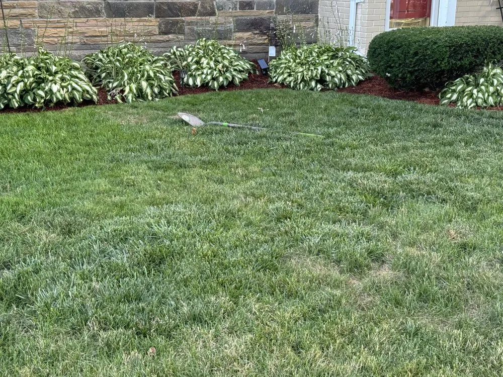 Trusted outdoor landscaping experts serving Detroit, MI - Ussery Landscaping