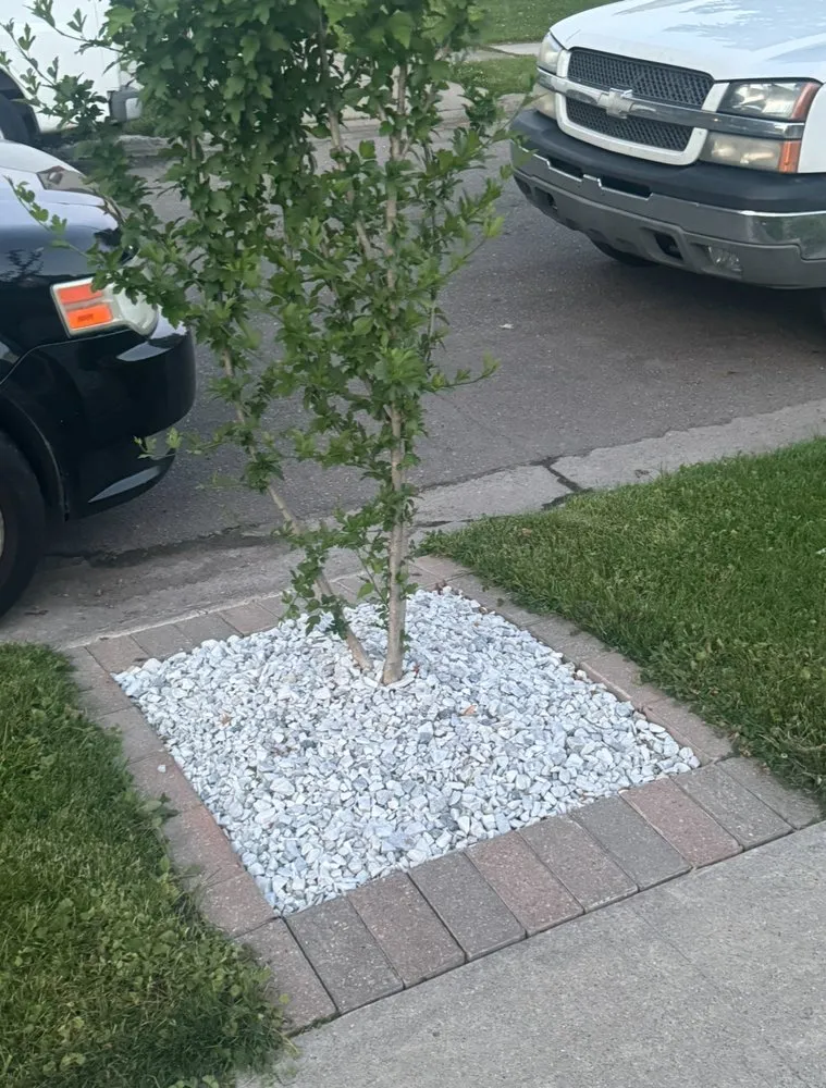 Trusted landscape design near you in Detroit, MI by Ussery Landscaping