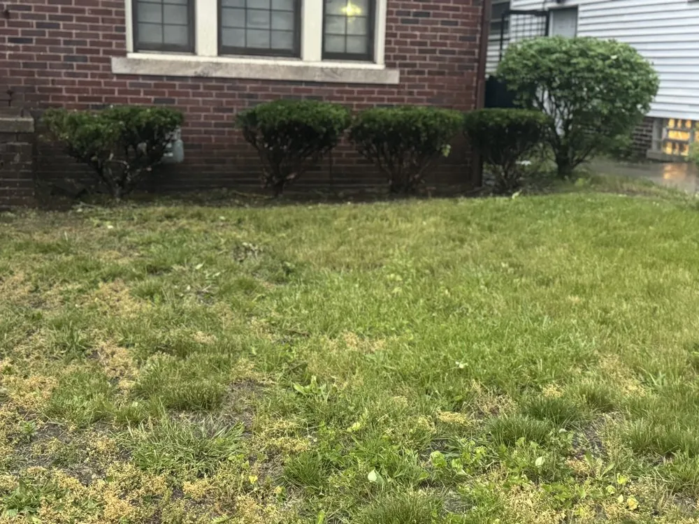 Top-rated yard cleanup service in Detroit, MI by Ussery Landscaping