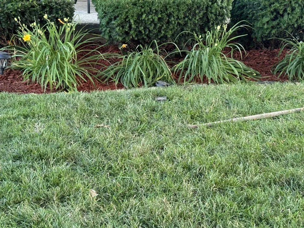 Trusted lawn care service with custom design in Detroit, MI by Ussery Landscaping