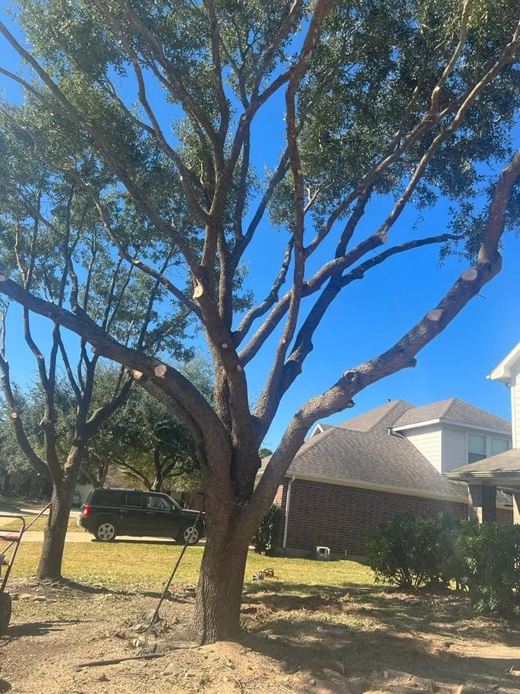 Custom landscape design in Tomball, TX - UT Outdoor Solutions