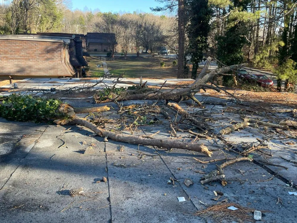 Affordable yard cleanup service in Marietta, GA - UT Tree Service Am Landscaping Clinap