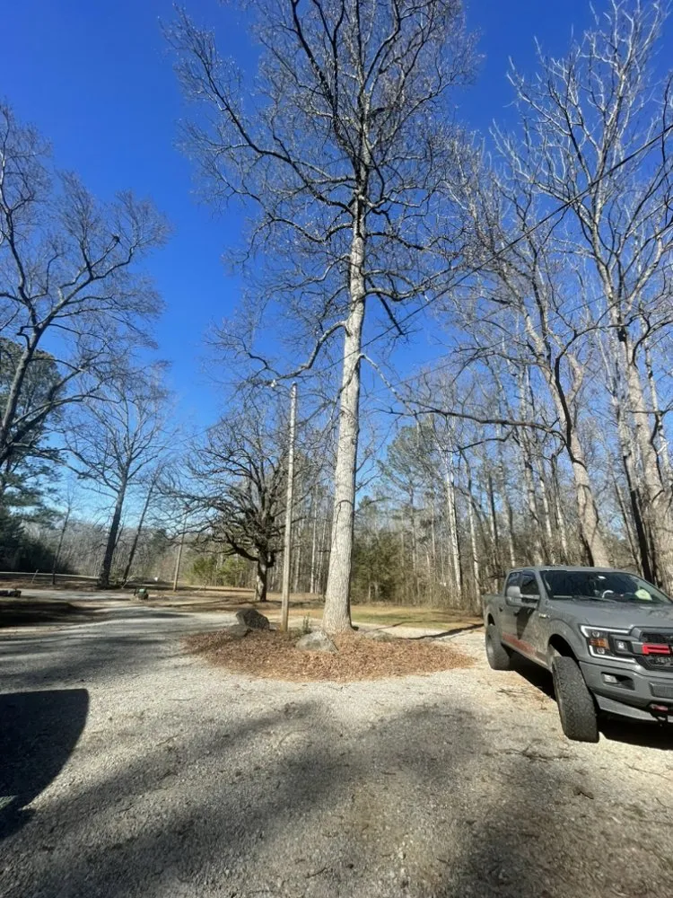 Reliable landscape design for homes in Marietta, GA by UT Tree Service Am Landscaping Clinap