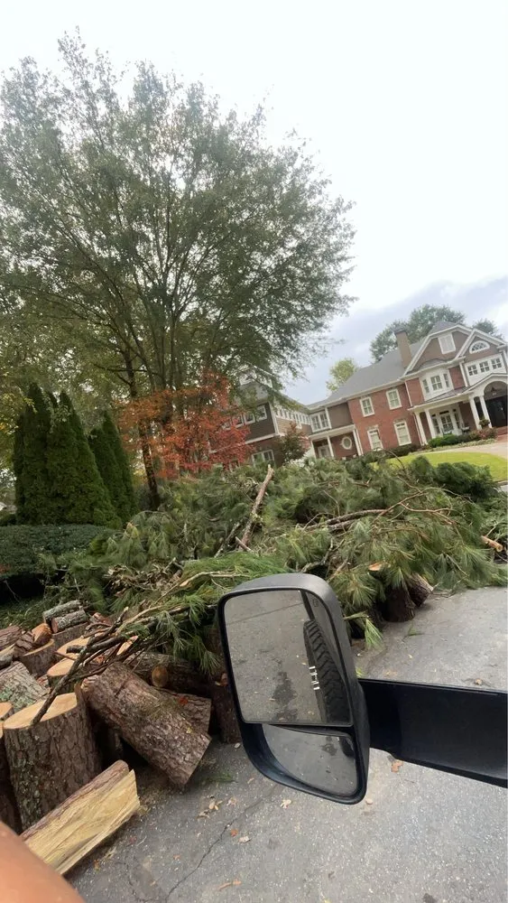 Professional landscaping services experts serving Marietta, GA - UT Tree Service Am Landscaping Clinap