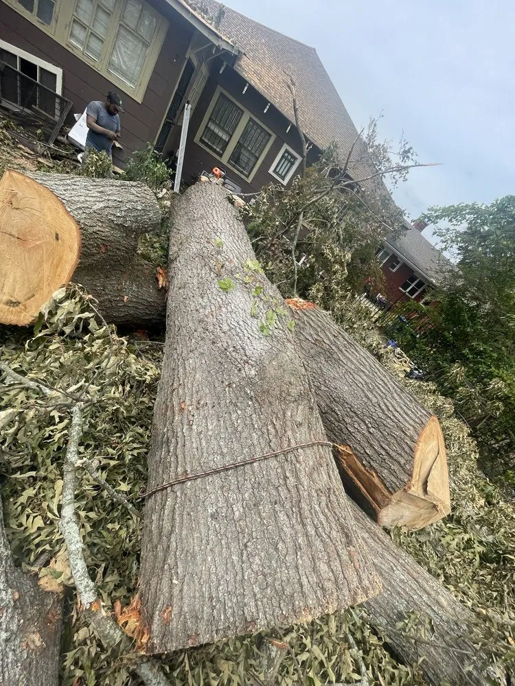 Top-rated garden landscaping in Marietta, GA - UT Tree Service Am Landscaping Clinap