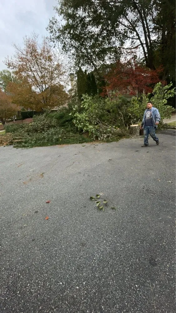 Expert lawn care service in Marietta, GA - UT Tree Service Am Landscaping Clinap