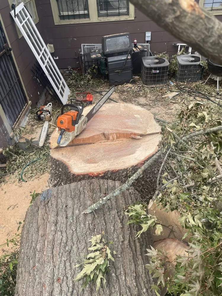 Reliable residential landscaping in Marietta, GA by UT Tree Service Am Landscaping Clinap