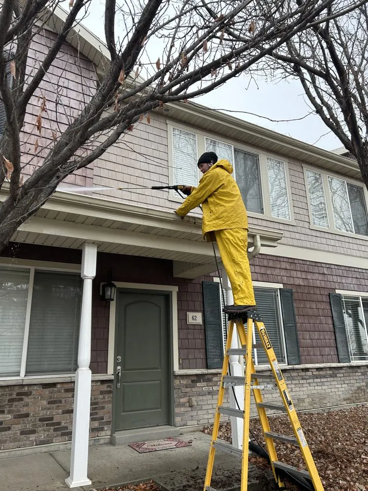 Local yard cleanup service experts serving Provo, UT - Utah County Property Maintenance