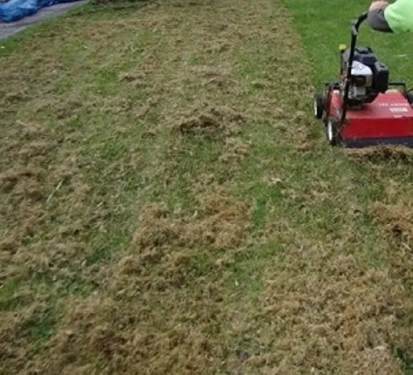 Local residential landscaping in Riverton, UT - Utah Lawn Aeration