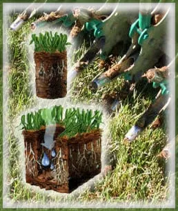 Trusted yard maintenance experts serving Riverton, UT - Utah Lawn Aeration