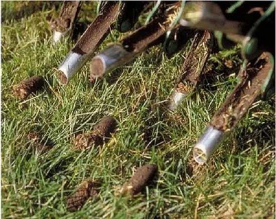 Top-rated outdoor landscaping experts serving Riverton, UT - Utah Lawn Aeration