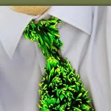 Reliable yard cleanup service in Riverton, UT - Utah Lawn Aeration