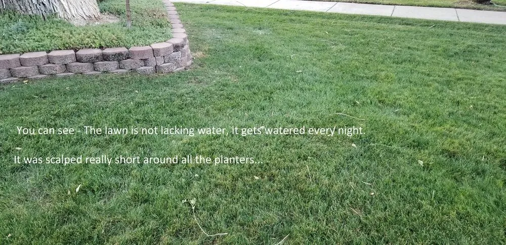 Local yard maintenance for outdoor upgrades in Draper, UT by Utah Professional Yard Services