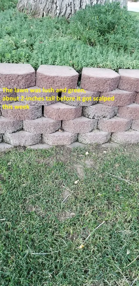 Affordable landscape installation for year-round maintenance in Draper, UT by Utah Professional Yard Services