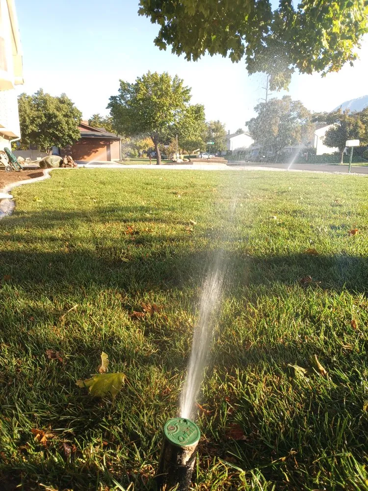 Expert yard cleanup service experts serving South Salt Lake, UT - Utah Sprinkler Install And Repair