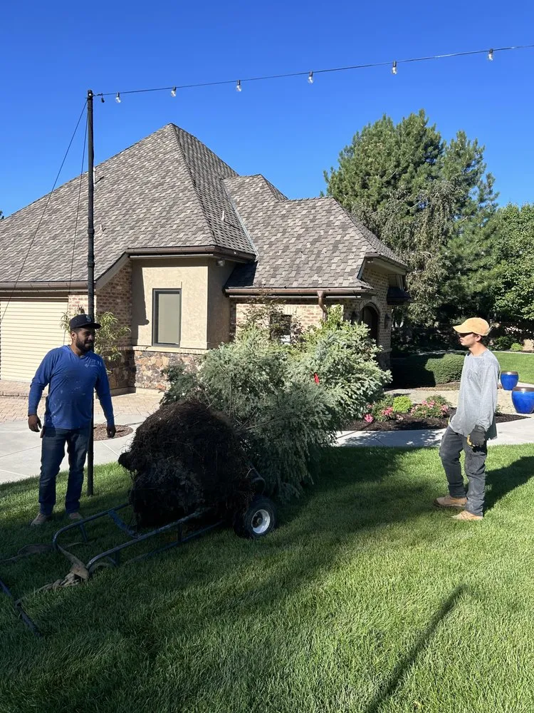 Trusted landscape installation for outdoor upgrades across Orem, UT - Utah Tree Planters