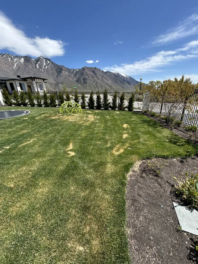 Affordable landscape design in Orem, UT by Utah Tree Planters